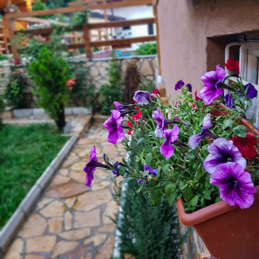 Apartment Little Paradise Visoko Extérieur photo
